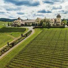 The Evolution of Winemaking in Lane County, Oregon