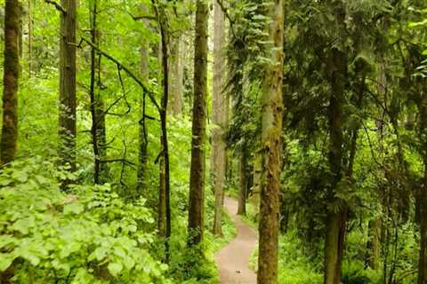 Exploring the Neighborhoods of Clark County, Washington