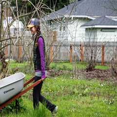 Promoting Healthy Lifestyles in Lane County, Oregon: The Role of Community Organizations