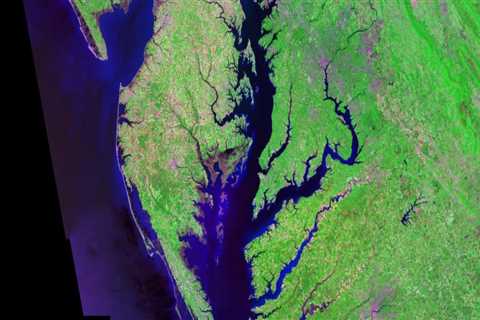 The Crucial Role of the Chesapeake Bay in Sustaining Northern Virginia's Natural Resources