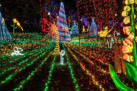 Holiday-Themed Community Events in Northeastern Illinois: A Local Expert's Guide