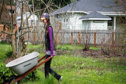 Promoting Healthy Lifestyles in Lane County, Oregon: The Role of Community Organizations