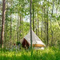 The Ultimate Guide to Camping Gear in Lowcountry South Carolina
