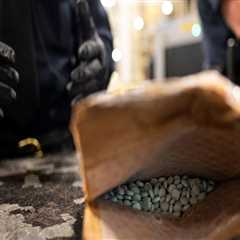 The Crucial Role of Police in Combating Drug-Related Offenses in Southwest Washington