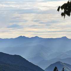 The Impact of Smoke Policies on Tourism in East Tennessee: An Expert's Perspective