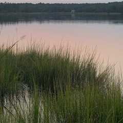The Importance of Mental Health Services in Southern Maryland