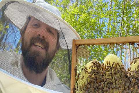 The Importance of Beekeeping Regulations and Restrictions in McDowell County, North Carolina