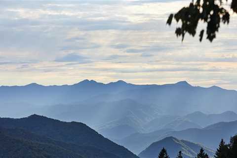 The Impact of Smoke Policies on Tourism in East Tennessee: An Expert's Perspective