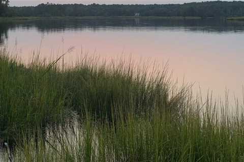 The Importance of Mental Health Services in Southern Maryland