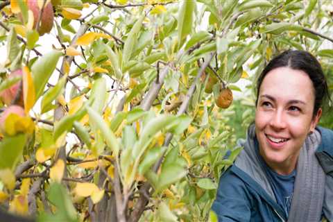 The Power of Community Service in Preserving Northern Utah's Environment