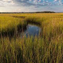 The Power of Coalitions in Boosting Tourism and Economic Growth in Northwest Florida
