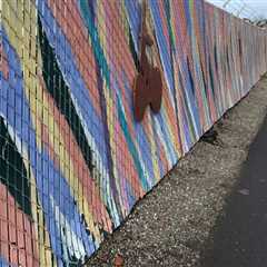 The Vibrant World of Muralists in Northern California