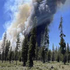 The Impact of Organizations on Central Oregon's Economy