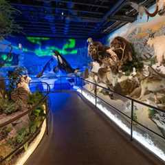 Discovering the Artistic Gems: Must-Visit Art Galleries in Northern California