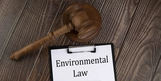 Environmental Law Monitor: An Environmental True Crime: Criminal Negligence Under the Clean Water..
