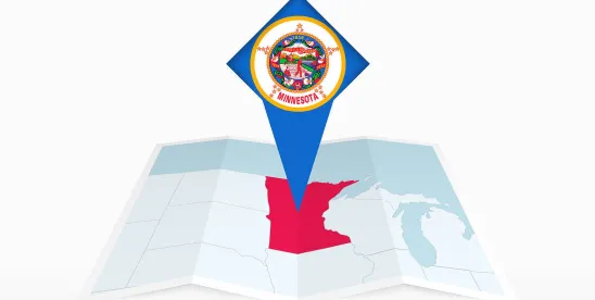 Deadline Extended for Reporting PFAS in Products in Minnesota, Proposed Minnesota PFAS Reporting..