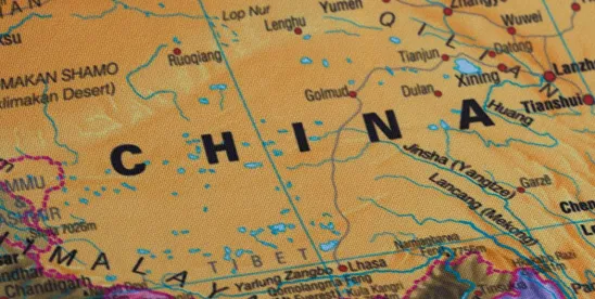 China Issues a Notice on DPO Reporting Requirements