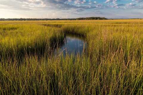 The Power of Coalitions in Boosting Tourism and Economic Growth in Northwest Florida