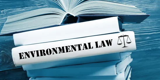 Department of Energy Loan Guarantee Program Update: New Energy Dominance Financing Mechanism