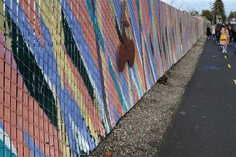 The Vibrant World of Muralists in Northern California