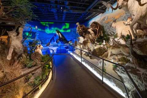 Discovering the Artistic Gems: Must-Visit Art Galleries in Northern California