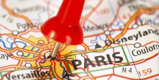 French Judges Rule on Corporate Duty of Vigilance Obligations