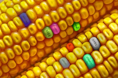 APHIS Seeks Comment on Petition to Deregulate Corn Developed Using Genetic Engineering