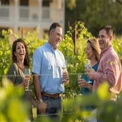 Discovering the Best Wine Tours in Harris County, Texas