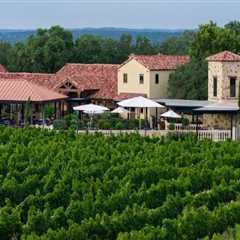 The Ultimate Guide to Wine Tours in Harris County, Texas