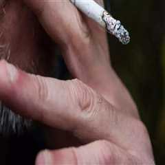 Addressing Smoking in Low-Income Communities: The Impact and Initiatives in Leon County, Florida