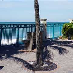 The Insider's Guide to the Cost of Utilities in Vero Beach, FL