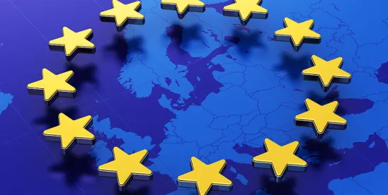 EU Packaging and Packaging Waste Regulation: New Compliance Requirements for E-Commerce