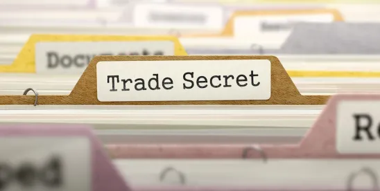 Ninth Circuit Clarifies DTSA’s Trade Secret Identification Requirements