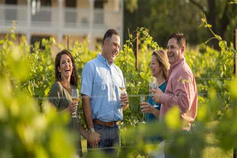 Discovering the Best Wine Tours in Harris County, Texas