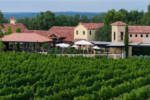 The Ultimate Guide to Wine Tours in Harris County, Texas