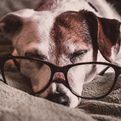 Monday Morning Accounting News Brief: California CPA Pathways Bill Just One Step From Law;..