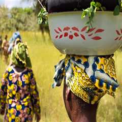 Funding and Sustainability: Challenges for Women’s Coalitions in Clark County