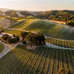 The Thriving Wine Industry in Central California