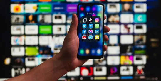 Ninth Circuit Upholds “Addictive” Social Media Feed Ban and Default Privacy Settings for Minors in..