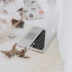 Monday Morning Accounting News Brief: So The Shortage Is Over, Right?; Erroneous IRS Notices Scare..
