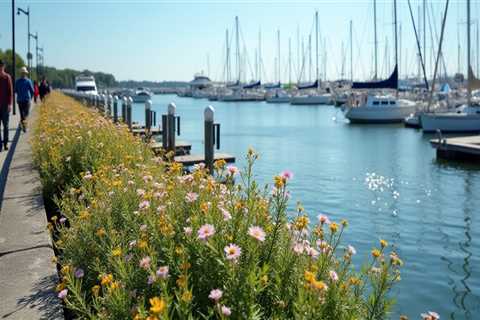 Exploring the Boatyards in Calvert County, MD: A Comprehensive Guide to Transient Slips