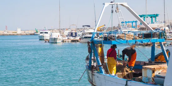 FDA Releases Report Documenting “Short Weighting” in Some Imported Seafood