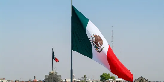 Frequently Asked Questions by Employers Regarding Mexico’s ‘Chair Law’ (‘Ley Silla’)