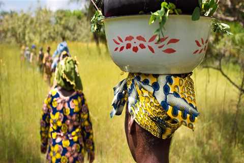 Funding and Sustainability: Challenges for Women’s Coalitions in Clark County