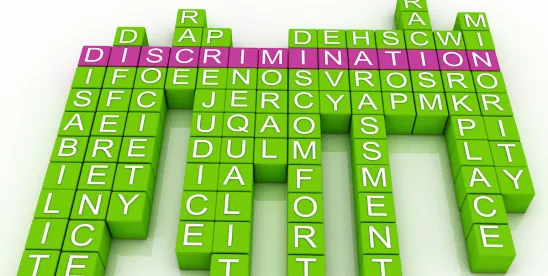 DOJ Guidance on Unlawful Discrimination: Implications for DEI Practices in The Private Sector