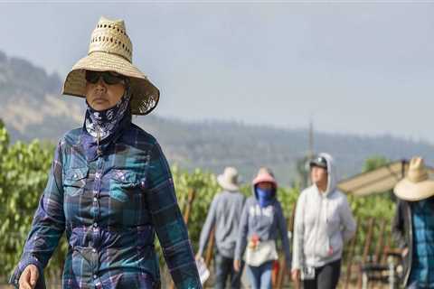 Navigating Labor and Employment Issues in Central California's Wine Industry: An Expert's..