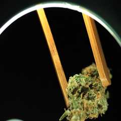 The Ultimate Guide to Opening a Dispensary in Southwest Washington