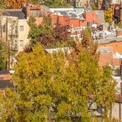 The Best Pet-Friendly Neighborhoods in Washington DC