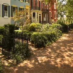 The Convenience of Grocery Stores in Residential Areas of Washington DC