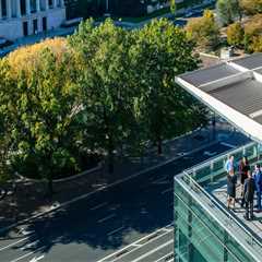 Discovering the Hidden Green Spaces in Washington DC's Residential Areas